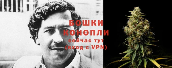 ГАЛЛЮЦИНОГЕННЫЕ ГРИБЫ Беломорск