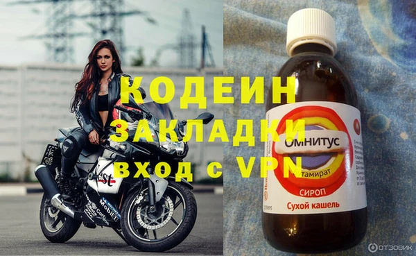 ГАЛЛЮЦИНОГЕННЫЕ ГРИБЫ Беломорск