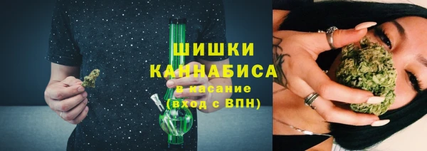 стаф Богданович