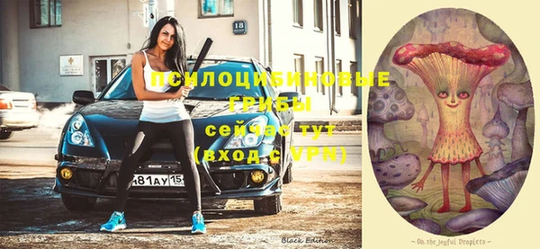 a pvp Богородицк