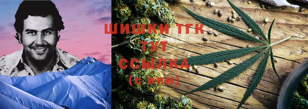 стаф Богданович