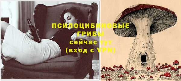 a pvp Богородицк