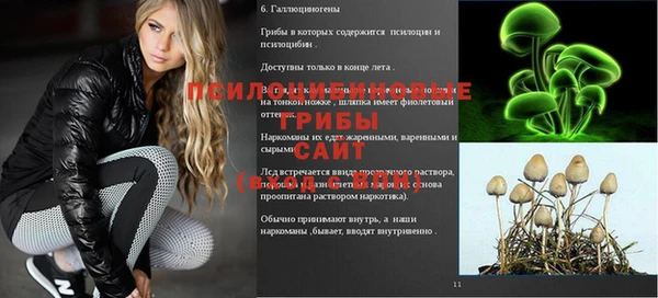 дмт Нефтегорск