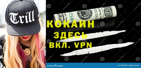 стаф Богданович