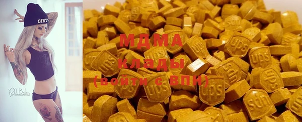 стаф Богданович
