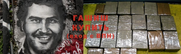МДПВ Богородск