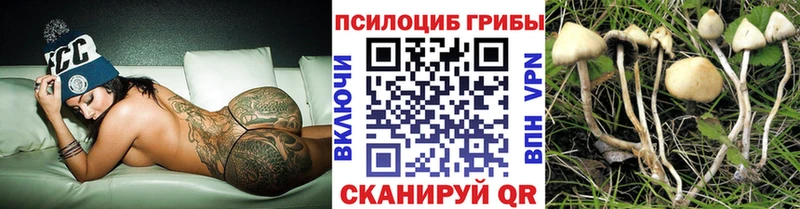 Галлюциногенные грибы Psilocybe  Вельск 
